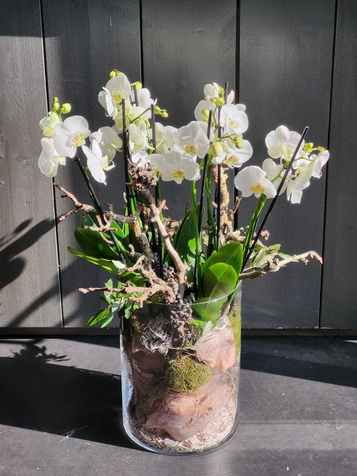 Planten arrangement met witte orchideeën in glazen pot